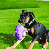 1 x Brand New KONG - Phatz Pig - Durable Dog Toy with Squeak - for Medium Dogs - RRP €19.02