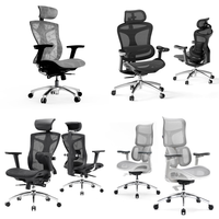 RAW Customer Returns Pallet - SIHOO Office Chairs -   7 Items - RRP €2599.95