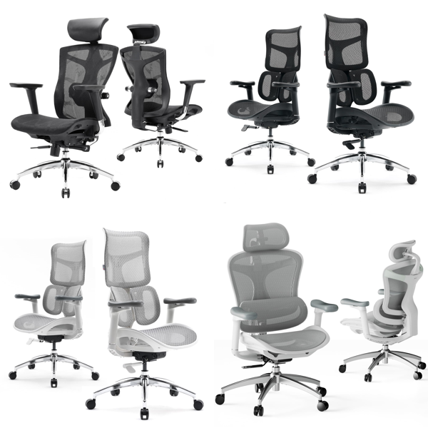 RAW Customer Returns Pallet - SIHOO Ergonomic Office Chairs - 6 Items - RRP €1699.95