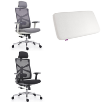 RAW Customer Returns Pallet - HOLLUDLE  Office Chairs , Pillows -  44 Items - RRP €2209.56