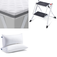 RAW Customer Returns Job Lot Pallet - Toppers, Pillows & Folding Steps - 16 Items - RRP €837.84