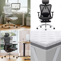 RAW Customer Returns Job Lot Pallet - Office Chairs & Desks - 11 Items - RRP €1847.12