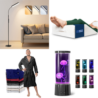 RAW Customer Returns Job Lot Pallet - LED dimmable black Reading lamps, Orthopedic  Pillows & more - 48 Items - RRP €1787.47