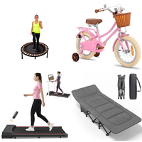 RAW Customer Returns Job Lot Pallet - FIT BOUNCE PRO XL Bungee Rebounder, TODO treadmill, Children s Bicycle with Basket & more - 37 Items - RRP €2496.4