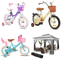 RAW Customer Returns Job Lot Pallet - Apalus fly screen door, JOYSTAR 18 inch kids bike & HOTEEL folding gazebo -  83 Items - RRP €2741.72