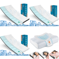 RAW Customer Returns Pallet - Mattress Toppers & Memory Foam Pillows - 32 Items - RRP €1438.48